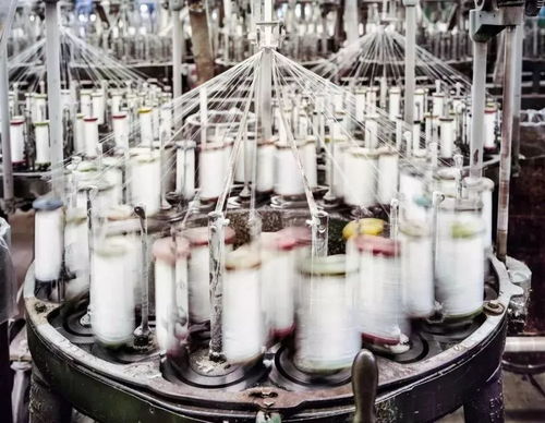 在这家纱线厂,可以看到美国纺织业的现状