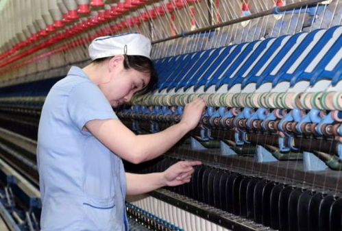 200吨变20吨 想滥竽充数结果产品堆积,现又想起我国的好