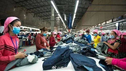 shein的快时尚 黑盒