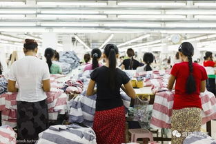 速递 要火 泗县被省里看中,获批开展这项工作 草沟镇积极谋划2019年度乡村振兴重点项目