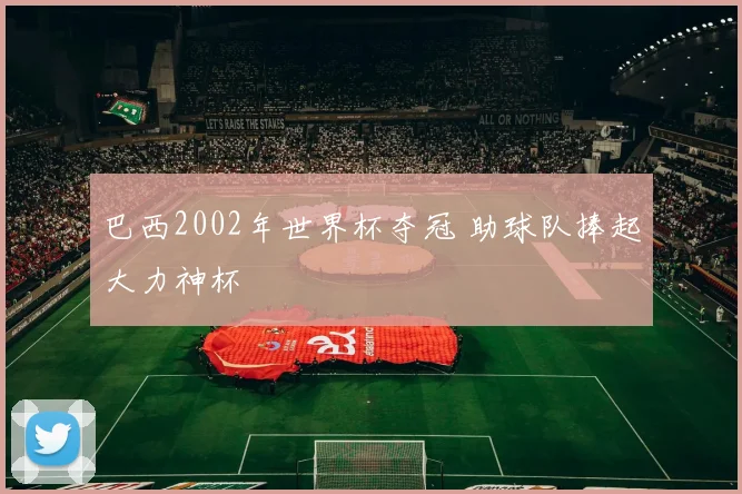巴西2002年世界杯夺冠 助球队捧起大力神杯