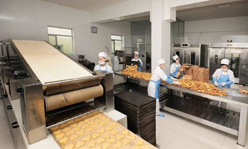 东北亚小铺掌柜独家爆料最新朝鲜社会动态掠影,令人精神振奋