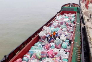 欧盟下令 禁止丢弃 纺织垃圾 成员国2025年开始必须专门回收